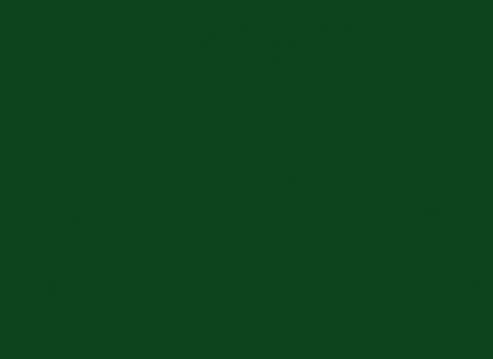 CP 18904 Green